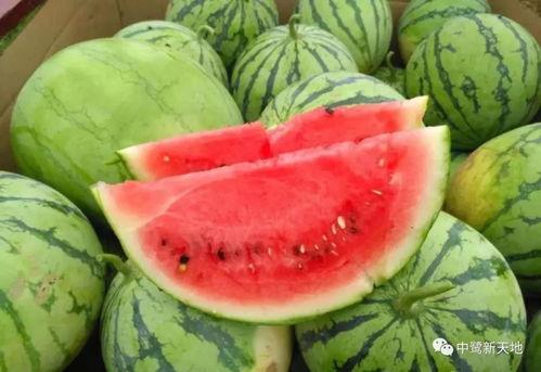 今日娱乐吃瓜小料,今日吃瓜小料大揭秘  第3张